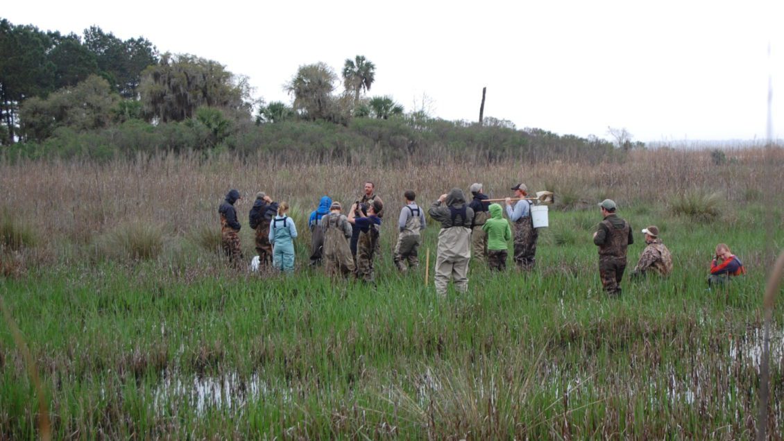 Students study marsh area.