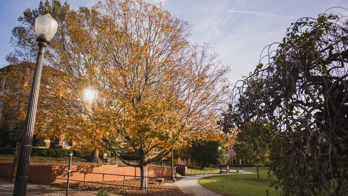 Clemson's campus in Fall 2020 with falling leaves and changing colors