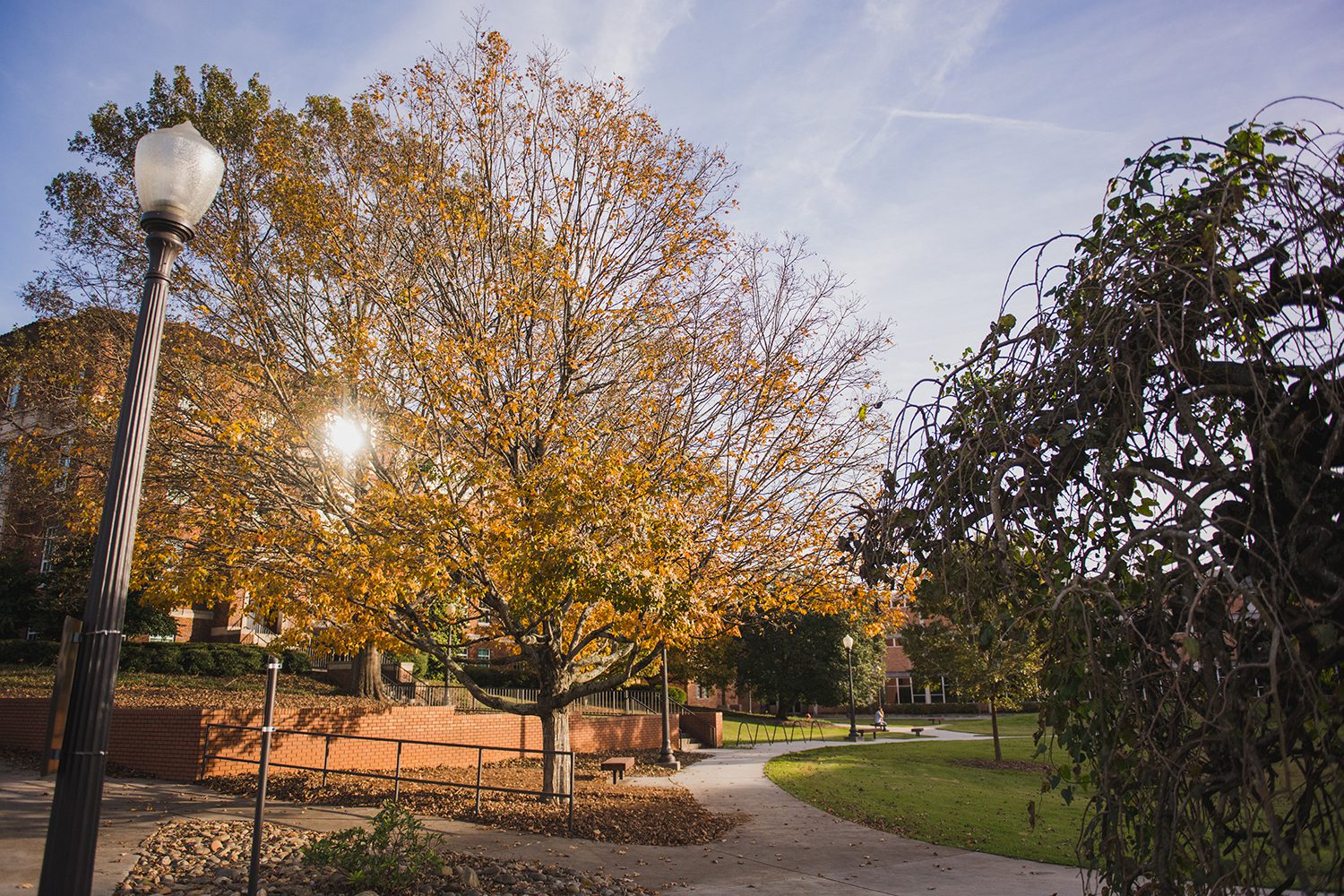 Clemson's campus in Fall 2020 with falling leaves and changing colors