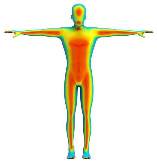 rendering of human body and heat