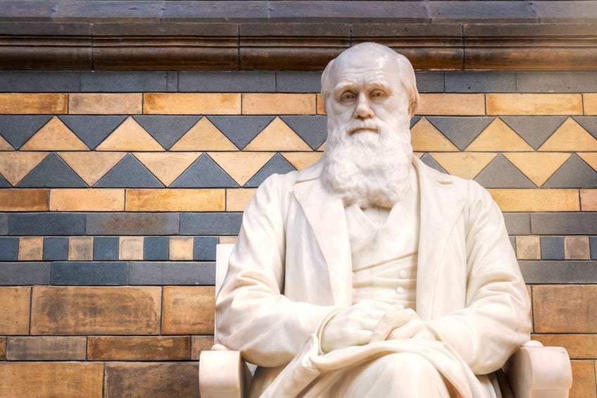 white statute of Charles Darwin sitting in a chair