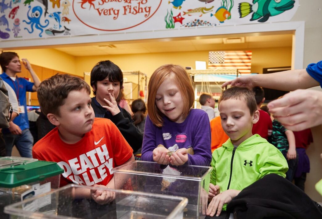 Elementary students learn about marine life during a "Something Very Fishy" science exhibit with live tanks.