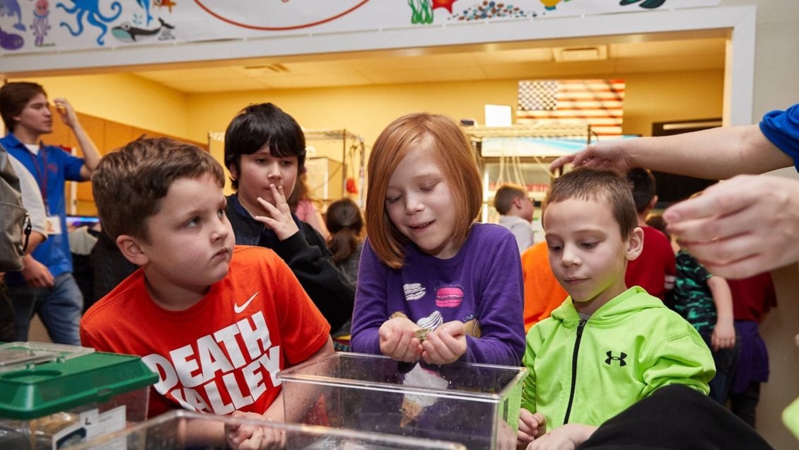 Elementary students learn about marine life during a "Something Very Fishy" science exhibit with live tanks.