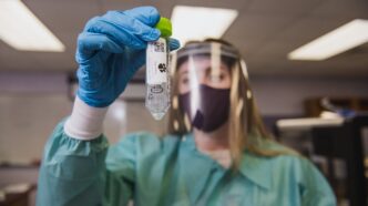 Students and faculty work in the CLIA lab testing Clemson faculty, staff and student samples for COVID-19.
