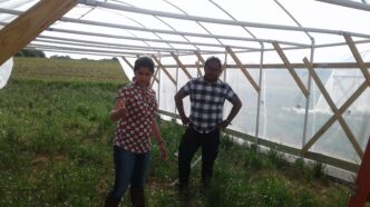 Clemson assistant professor Sruthi Narayanan and graduate student Zolian Zoong Lwe study how heat stress affects peanuts as they work to develop heat-tolerant peanut varieties.