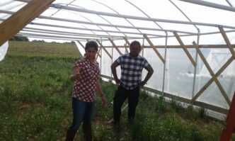 Clemson assistant professor Sruthi Narayanan and graduate student Zolian Zoong Lwe study how heat stress affects peanuts as they work to develop heat-tolerant peanut varieties.