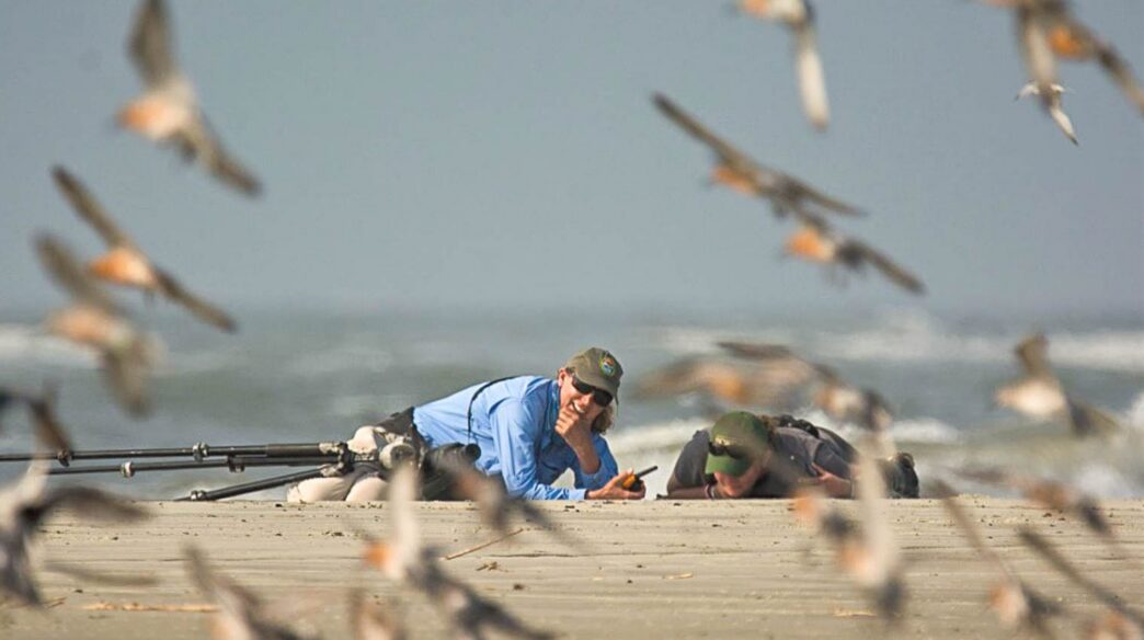 woman lying down on the beach with birds flying her