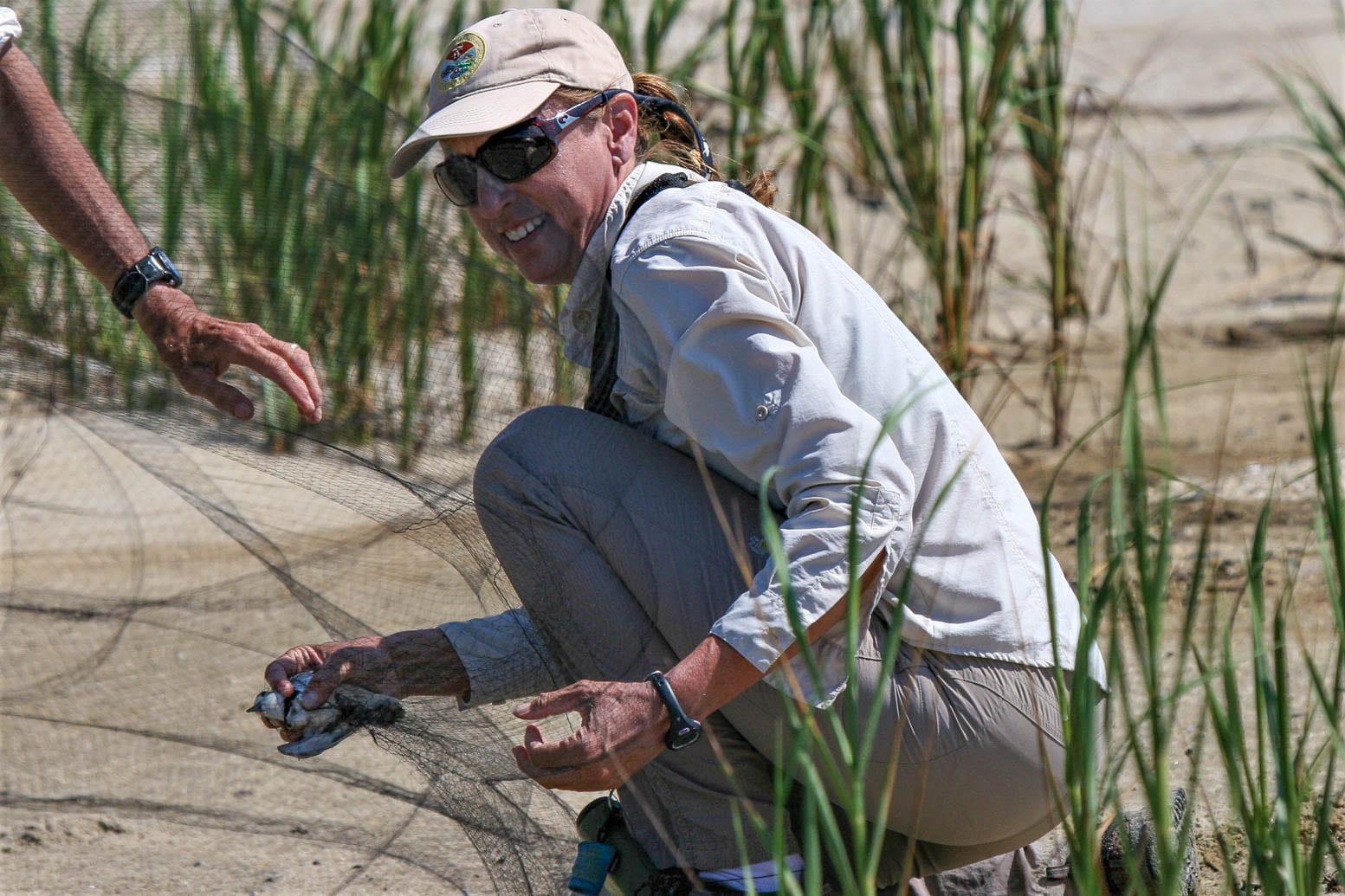 Biological Sciences alumna’s international project protects shorebirds ...