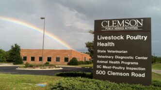 Livestock-Poultry Health Building and sign with rainbow