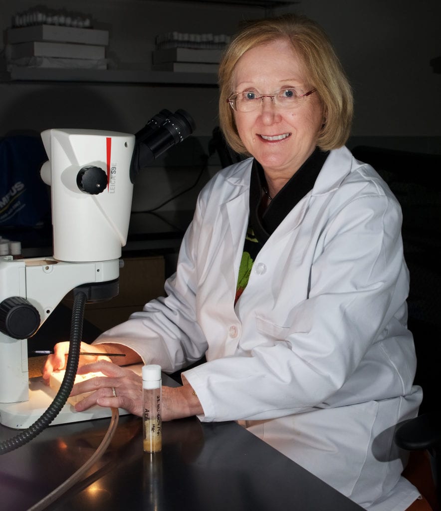 Trudy Mackay sitting at microscope