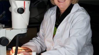 Trudy Mackay sitting at microscope