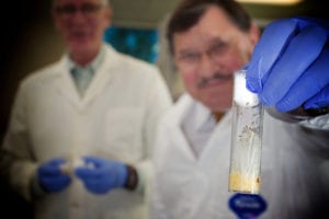 Man holding a test tube with fruit flies inside