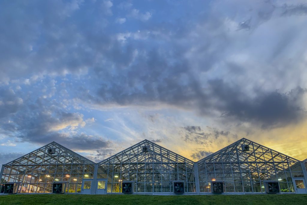 Clemson greenhouses at dusk