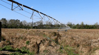 Clemson researchers have developed a new app farmers can use to optimize liquid fertilizers used to feed crops through irrigation systems.
