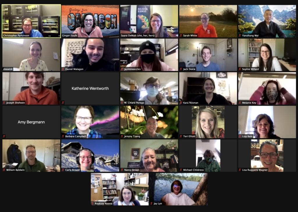 screen shot of participants in a Zoom session