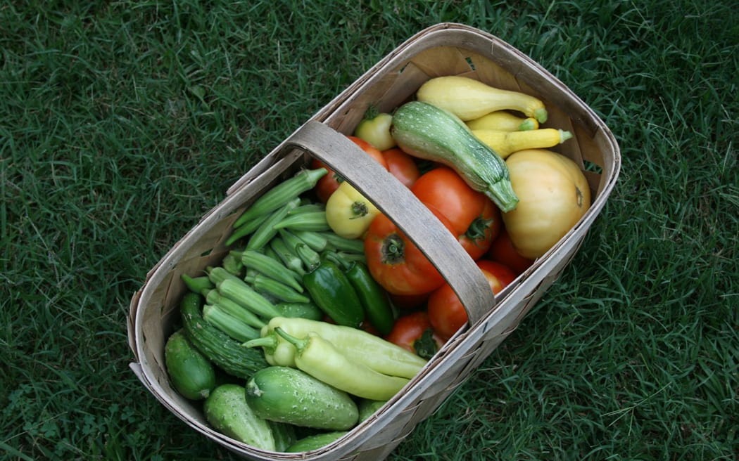 Basket of fresh vegetables.
