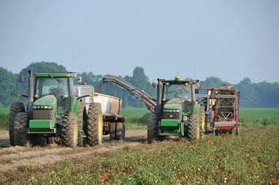 Tractors at work in a large field. 