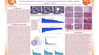 Students in the Clemson CI project "Bioinformatics for Cancer Genomics" earned 2nd place honors in the People's Choice Awards during Clemson's 16th Annual Focus on Creative Inquiry Poster Forum.