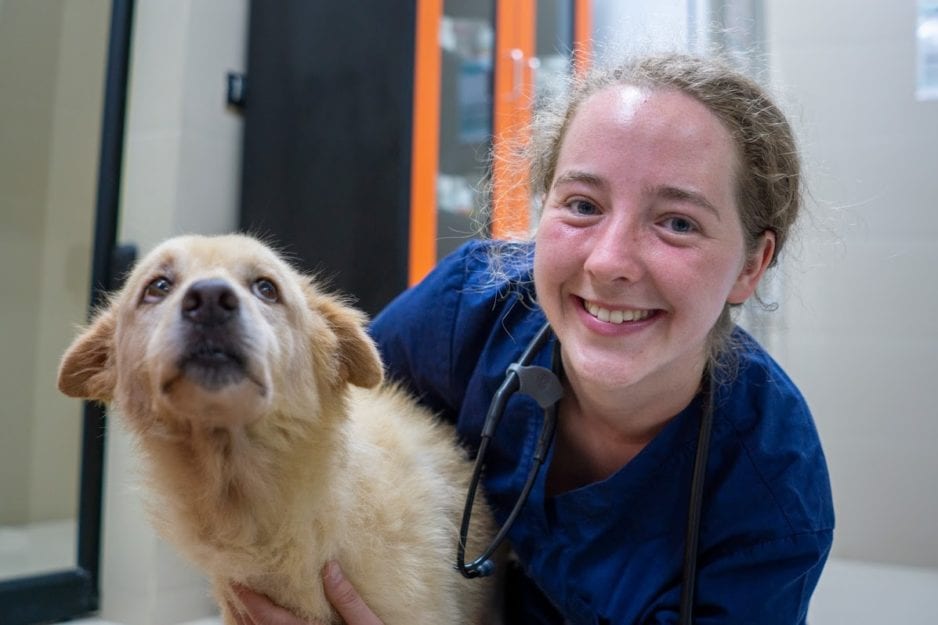 First cohort of Clemson students prepares to graduate from Glasgow veterinary program Clemson News
