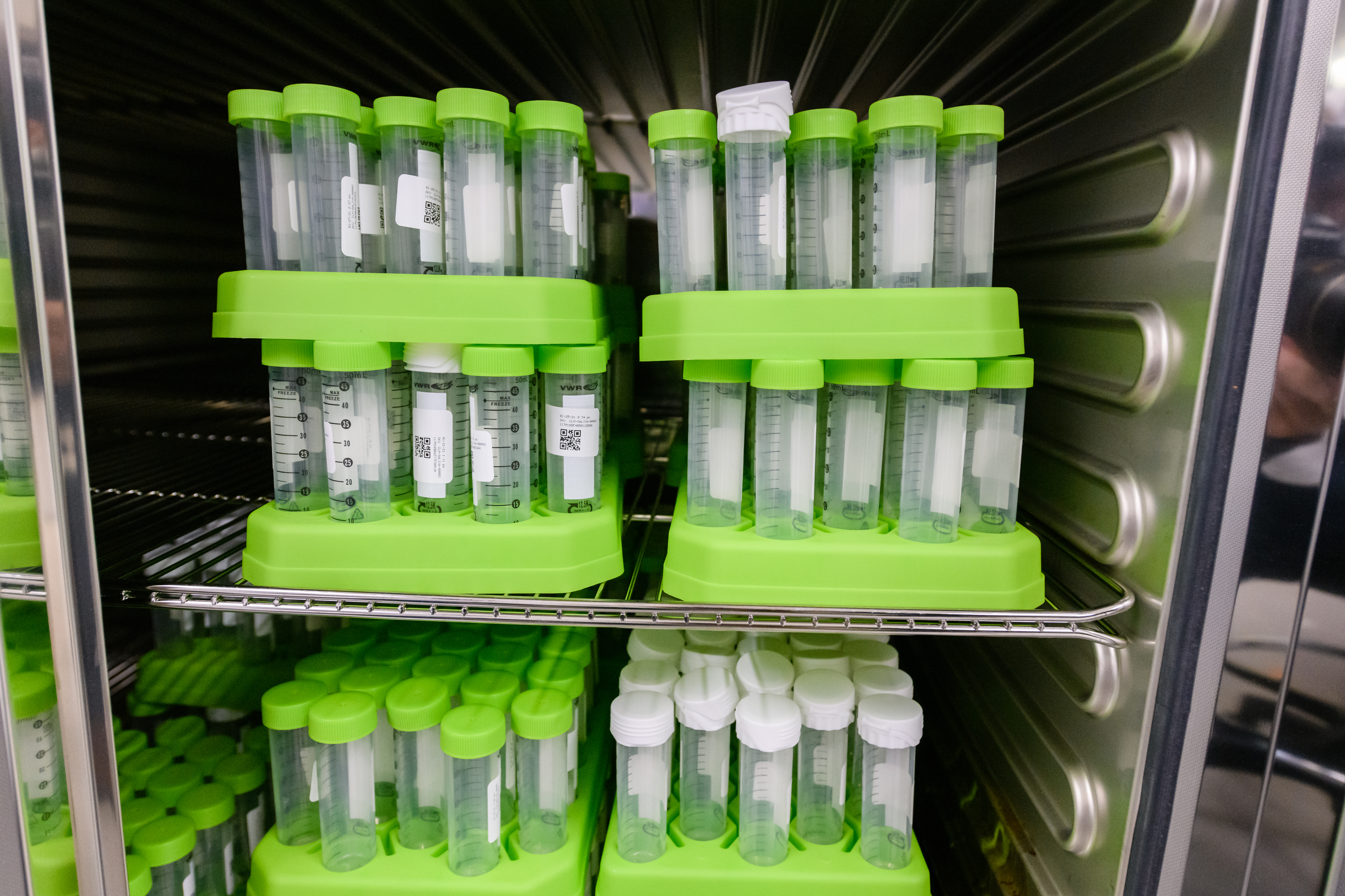 Green and clear Trays of COVID-19 Tests