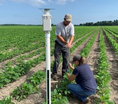 Allendale County farmer Joe Oswald helps Clemson researcher Dana Bodiford Turner install watermark soil moisture sensors for on-farm trials to show farmers how using soil moisture monitoring technology can help them irrigate more efficiently.