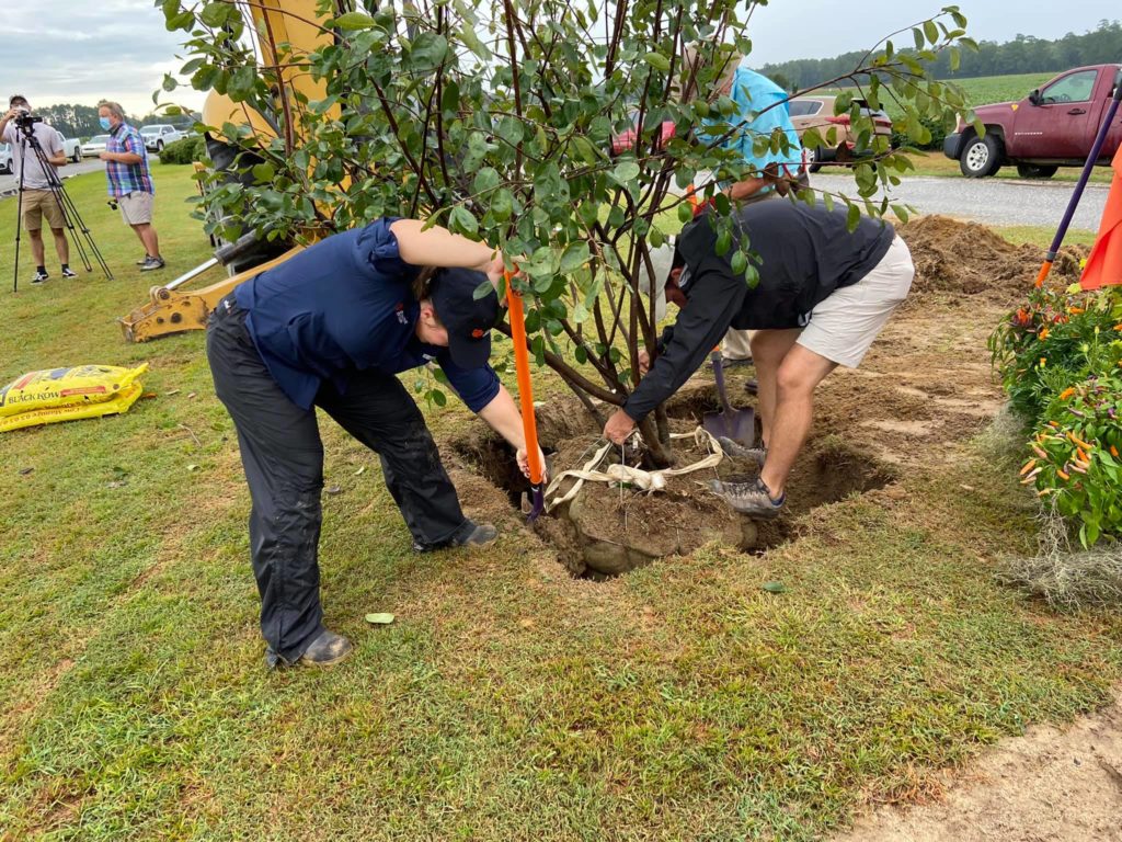 Planting a serviceberry tree to honor Tony Melton for his years of service to the Clemson Cooperative Extension service.
