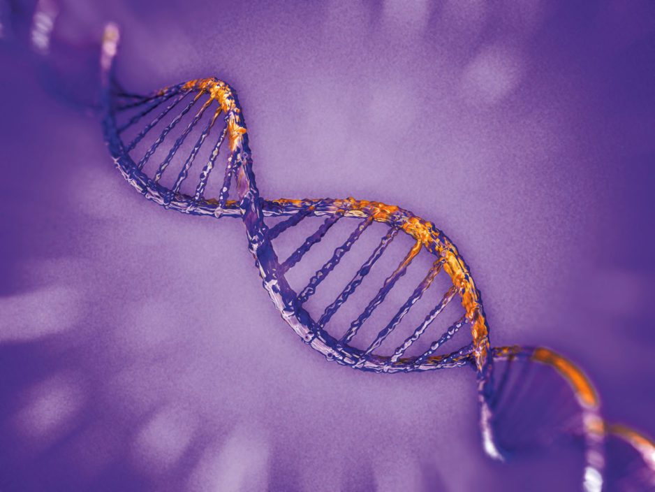 different-forms-of-dna-a-dna-b-dna-and-z-dna-a-comparison-table-with