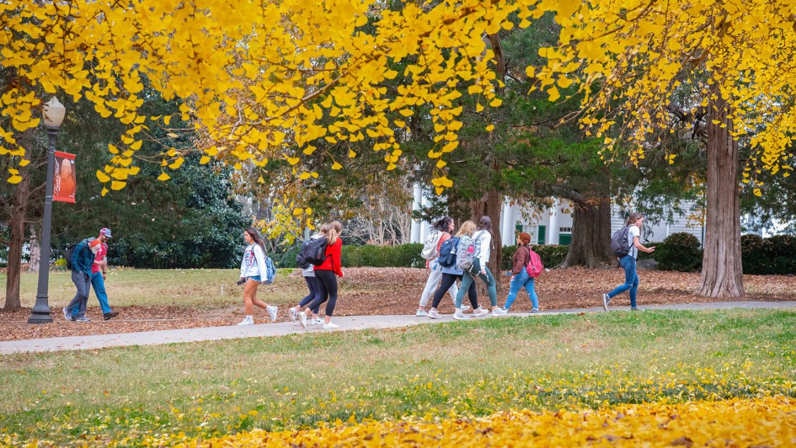 Clemson University students walk past a gingko tree exploding with yellow leaves in Trustee Park, signaling Fall. Dean's list students are excited about what the semester will bring.