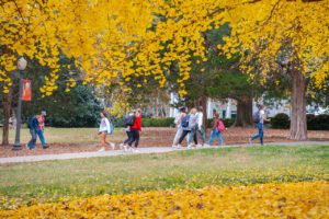 Clemson University students walk past a gingko tree exploding with yellow leaves in Trustee Park, signaling Fall. Dean's list students are excited about what the semester will bring.