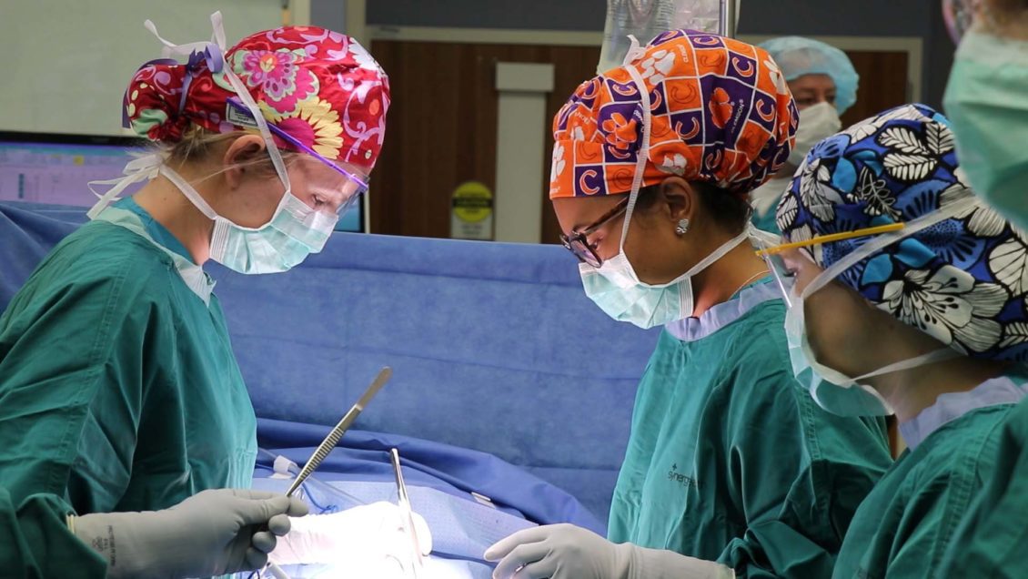 Women wearing a Clemson skull cap doing surgery