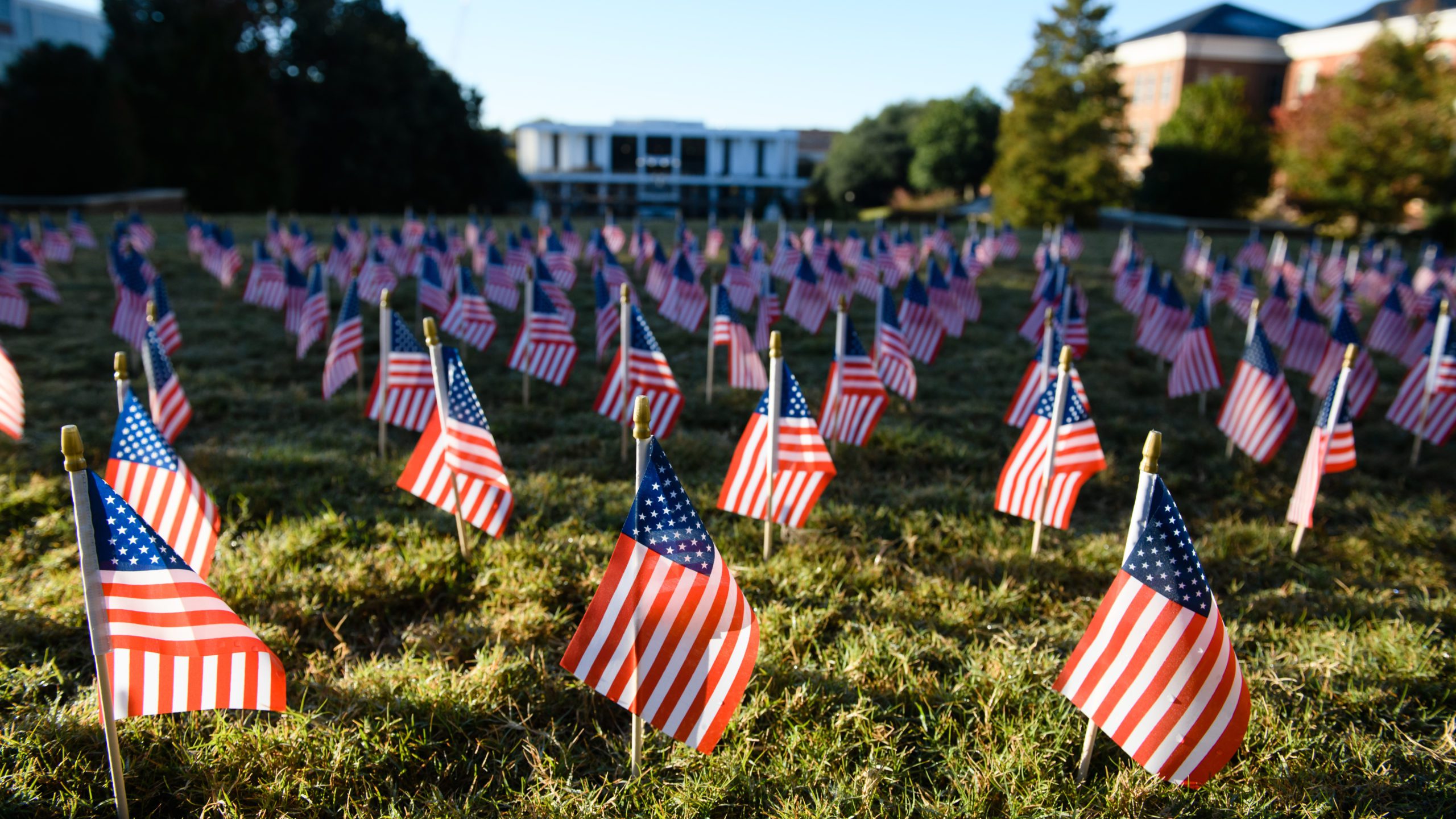 American flags displayed in Carillon Garden during Military Appreciation Week 2021