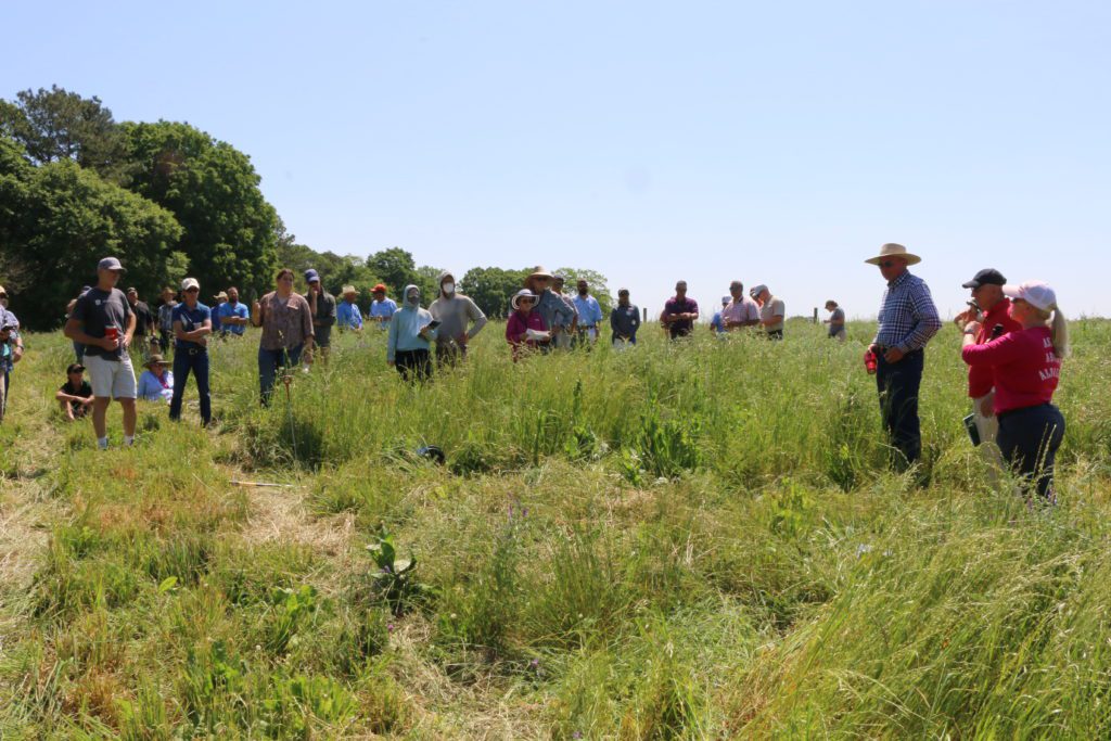 More than 100 people attend the 2022 Alfalfa Raised in the South Field Day to hear the latest research-based information related to growing alfalfa in the southern United States.