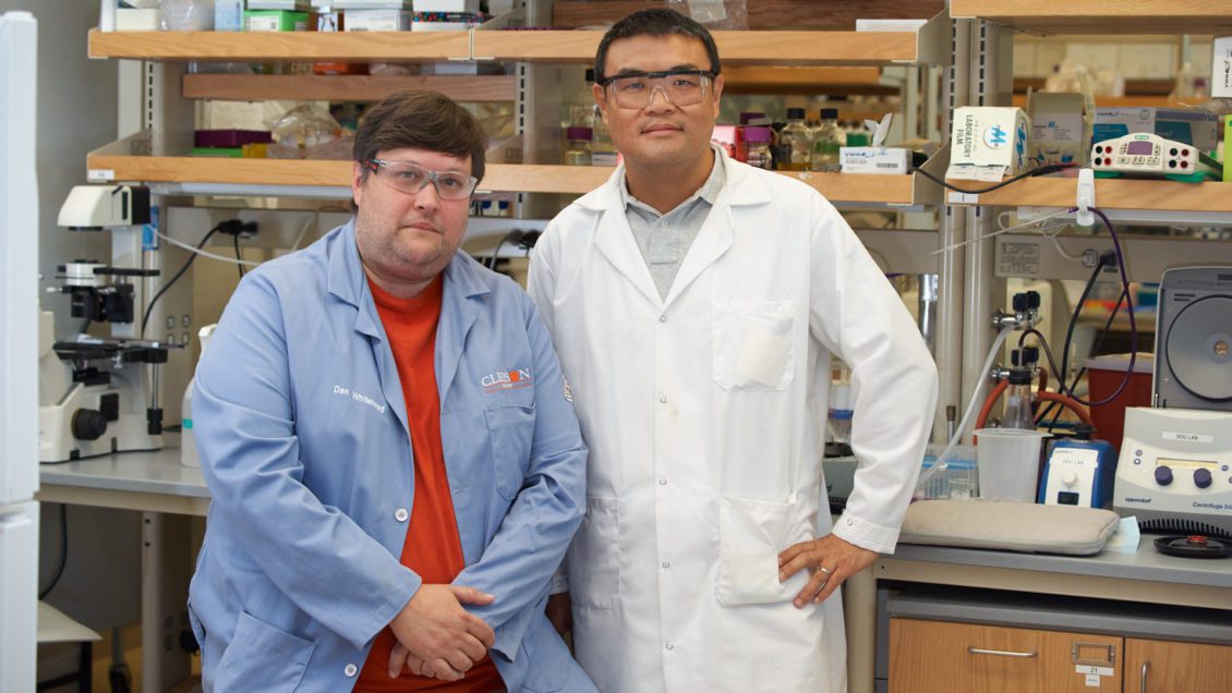 Dan Whitehead and Zhicheng Dou in a lab in the Life Sciences Facility