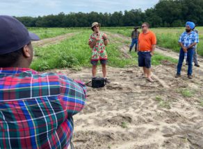 Gilbert Miller, Clemson Extension vegetable specialist and field day coordinator, talks about how the Clemson Extension statewide weather monitoring network will benefit South Carolina growers.