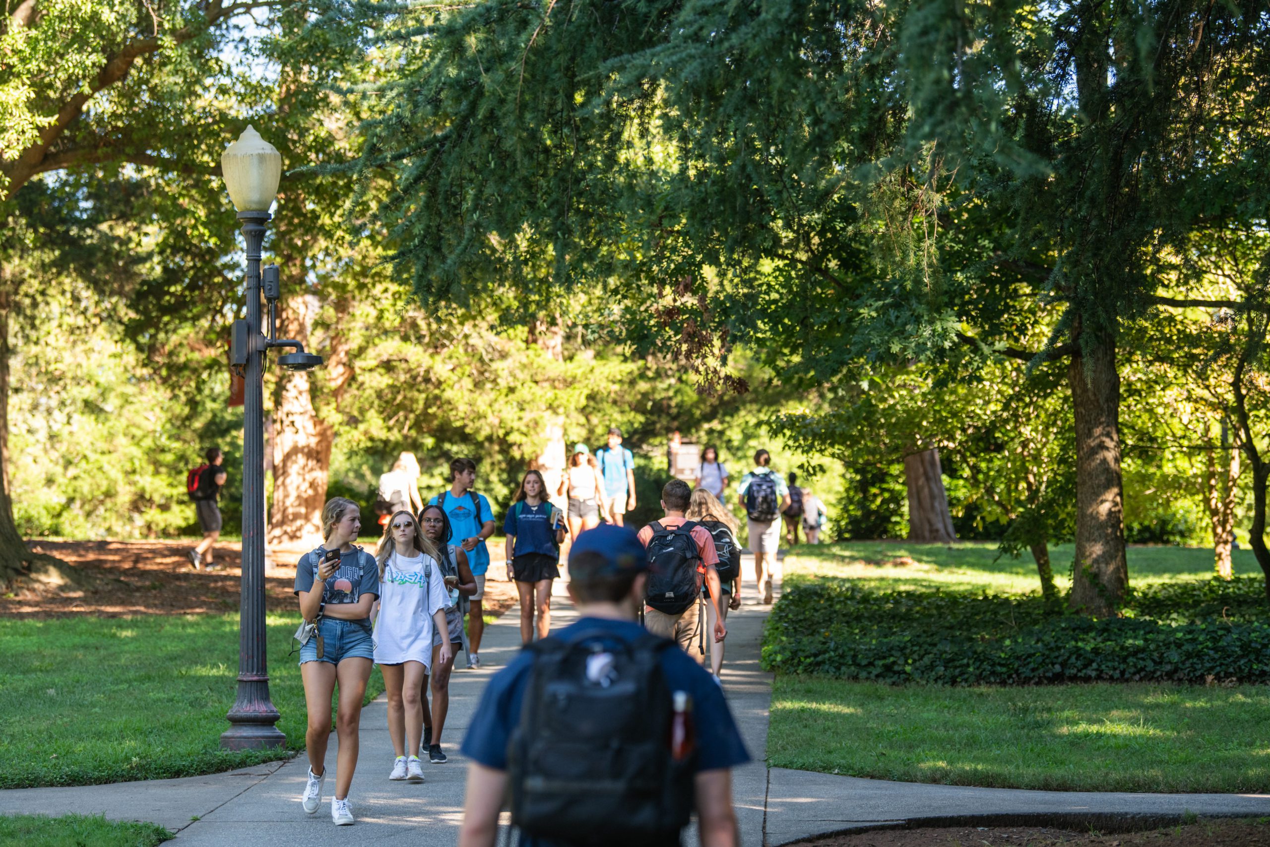 A group of students walk along a path among trees on the first day of class.
