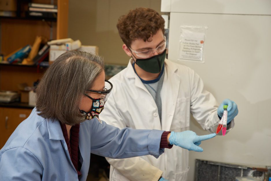 Julia Brumaghim named American Chemical Society Fellow | Clemson News