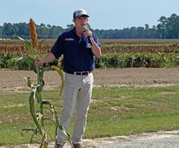 Clemson plant breeder and geneticist, talked about how dedicated breeding practices can help raise dryland grain sorghum yield limits.