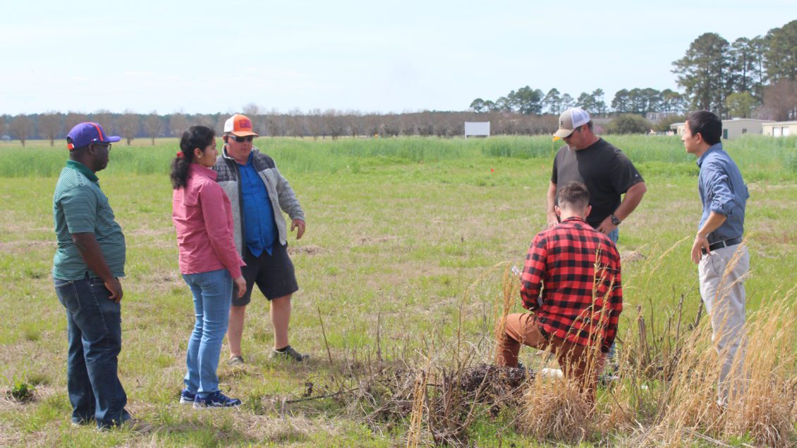 A team of Clemson researchers, led by Rongzhong Ye and Sruthi Narayanan discuss the field design for growing cover crops to improve soil-plant interactions, reduce resource inputs, improve cropping system productivity and more.