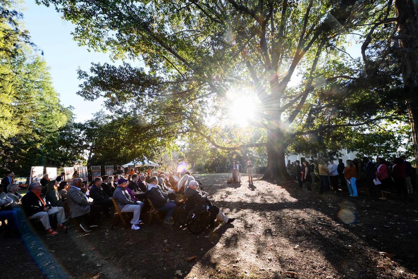 Sun shining through trees on group of people