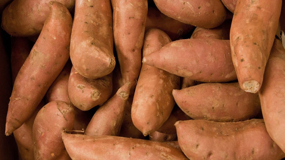 Clemson University researchers have received a USDA grant to help give organic sweet potato farmers new weapons to use against nematodes and weeds.