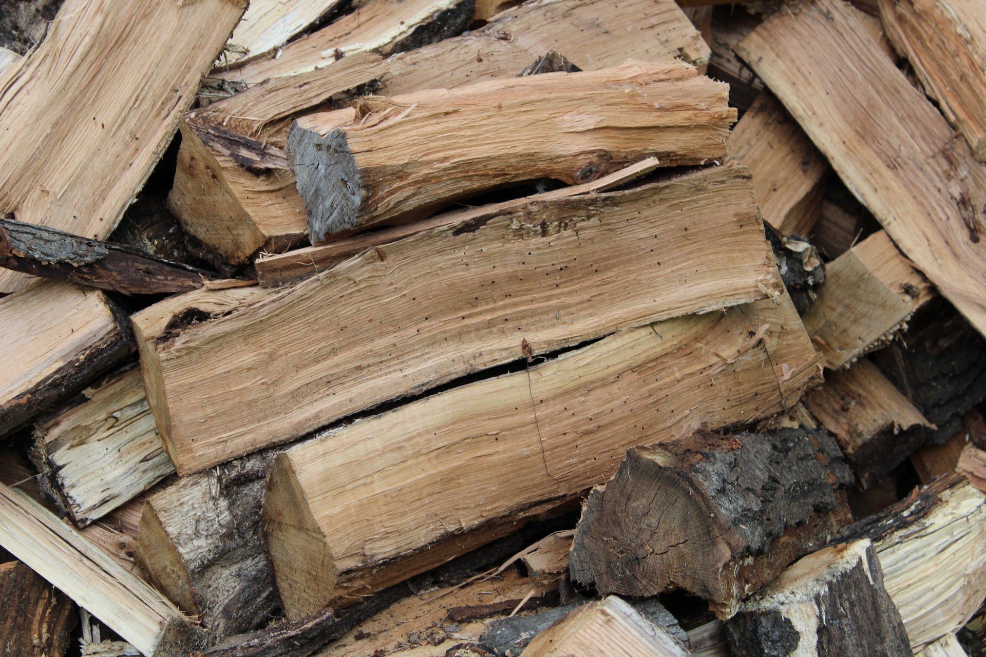 Check firewood for insects before bringing in a house.