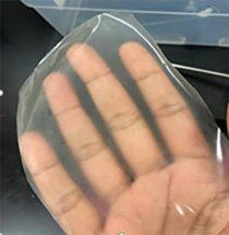 A transparent square of biodegradable film sits on a hand. 