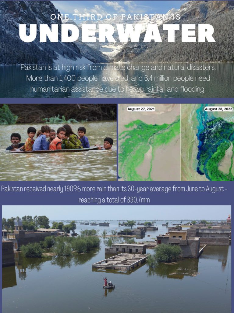 slide about Pakistan floods 