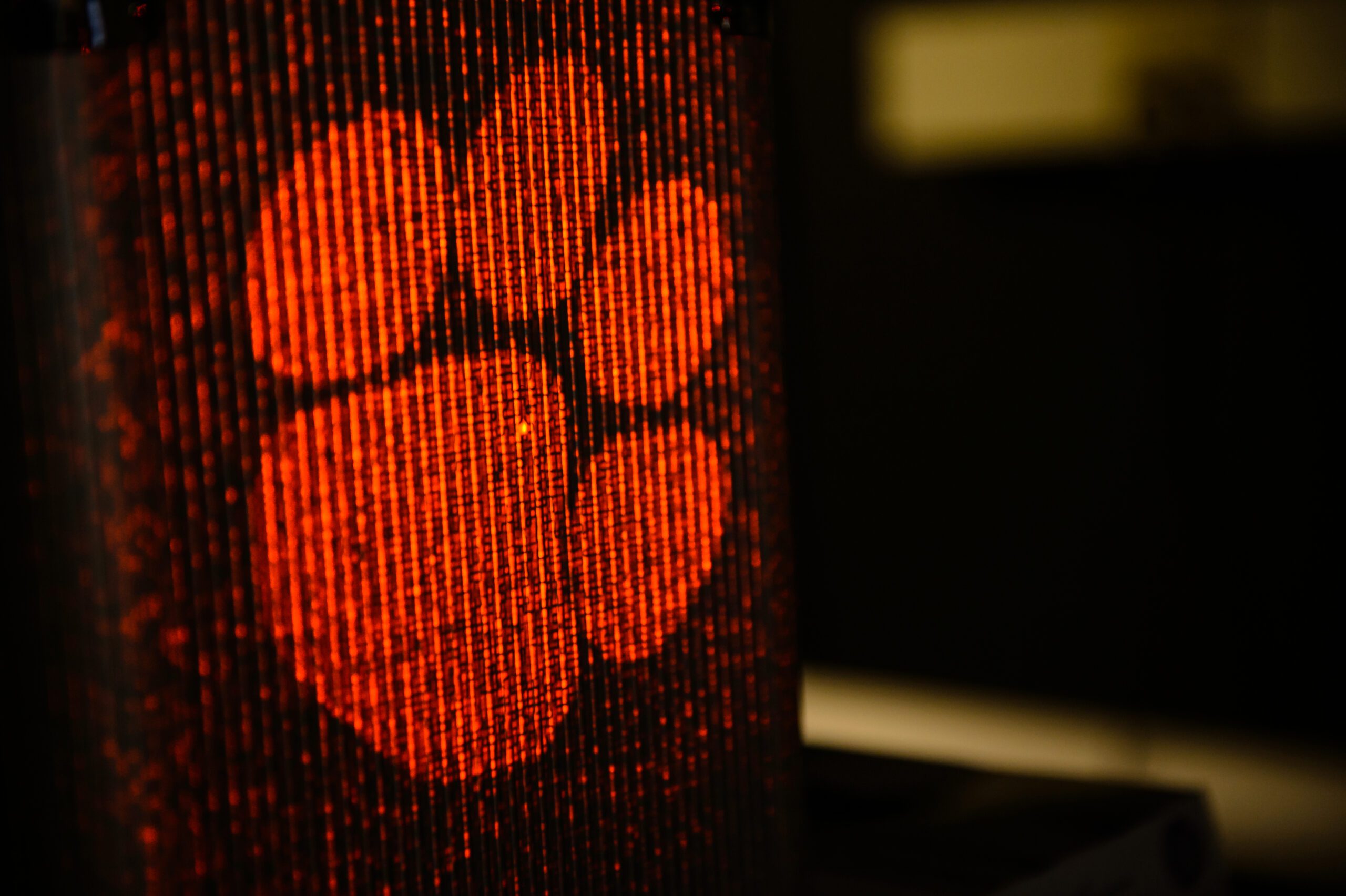 A close up of a tiger paw shining in the tail-light of a vehicle.