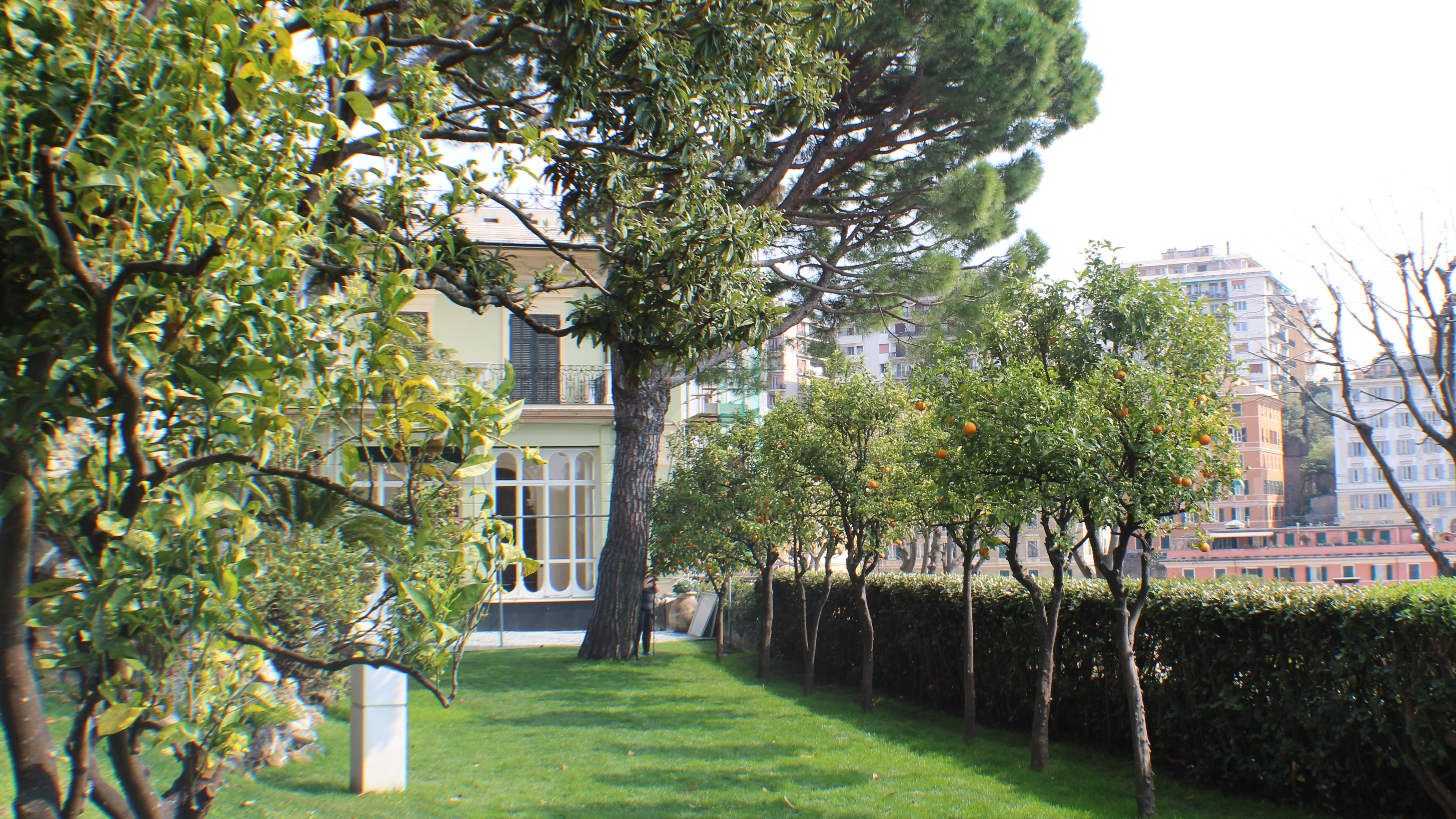 an italian villa sits behind green trees in a lush garden. The skyline of Genoa's colorful buildings can be seen over a hedge.