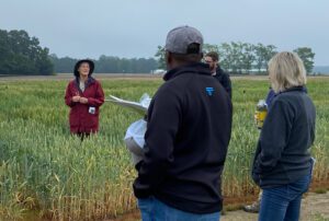 Christina Cowger, a United States Department of Agriculture research plant pathologist, talks about managing Powdery mildew, Fusarium head blight (scab) and rust diseases in wheat.