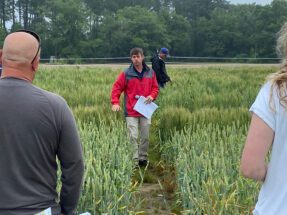 Richard Boyles, assistant professor of plant breeding and genomics and chair of the Grain Breeding and Genetics Program at Pee Dee REC, talks about evaluating wheat lines developed at Clemson to determine which are most suitable for South Carolina.