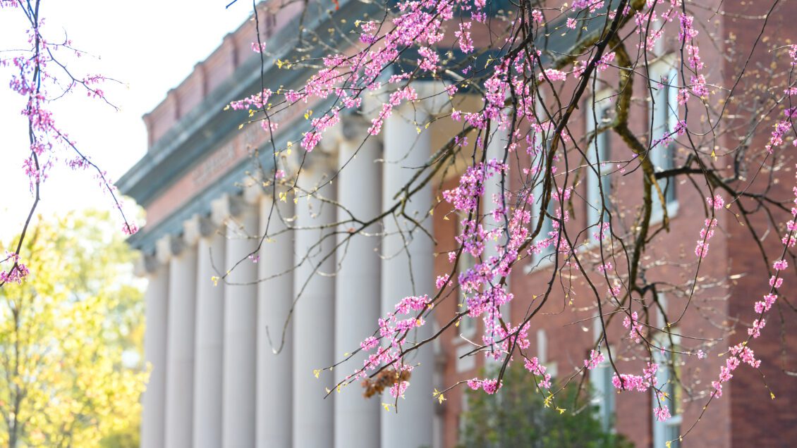 Spring blooms in front of Sikes Hall.