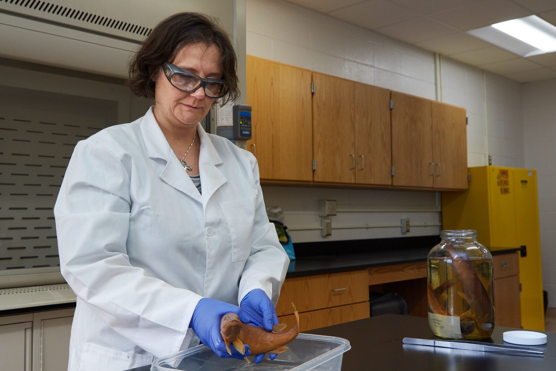 Woman wearing a white lab coat and blue gloves holds a fish in a lab at Clemson University