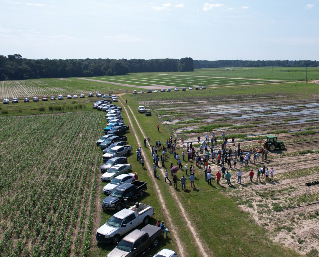 Participants in the 2023 Clemson University Field Day go to the Edisto REC fields to learn more about growing watermelons.